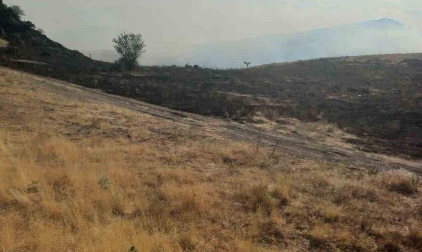 Kamyon yangını Sandıklı'da 100 hektarlık alanı etkiledi