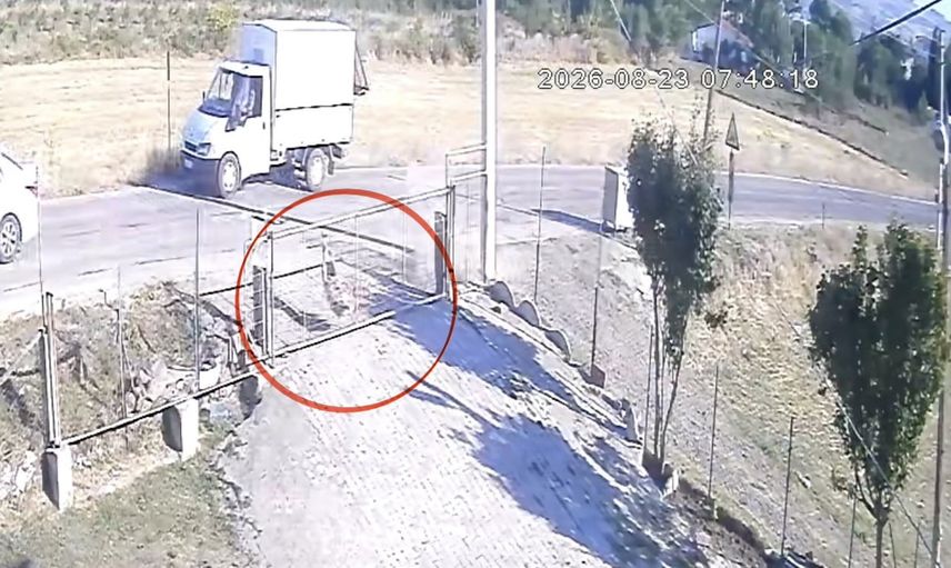 Samsun'da sollama sırasında başıboş köpeğe çarpıldı, sürücü olay yerinden kaçtı