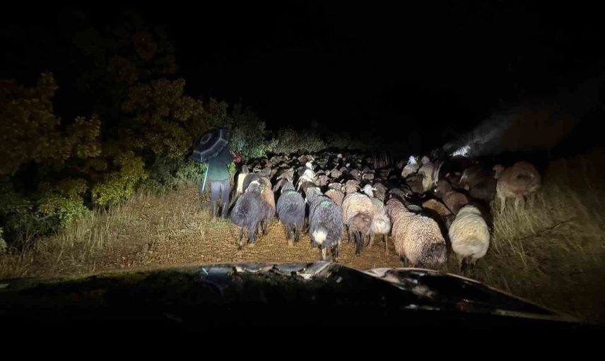 Karasaz’da dağlık alanda mahsur kalan çoban ve yaklaşık 200 küçükbaş kurtarıldı