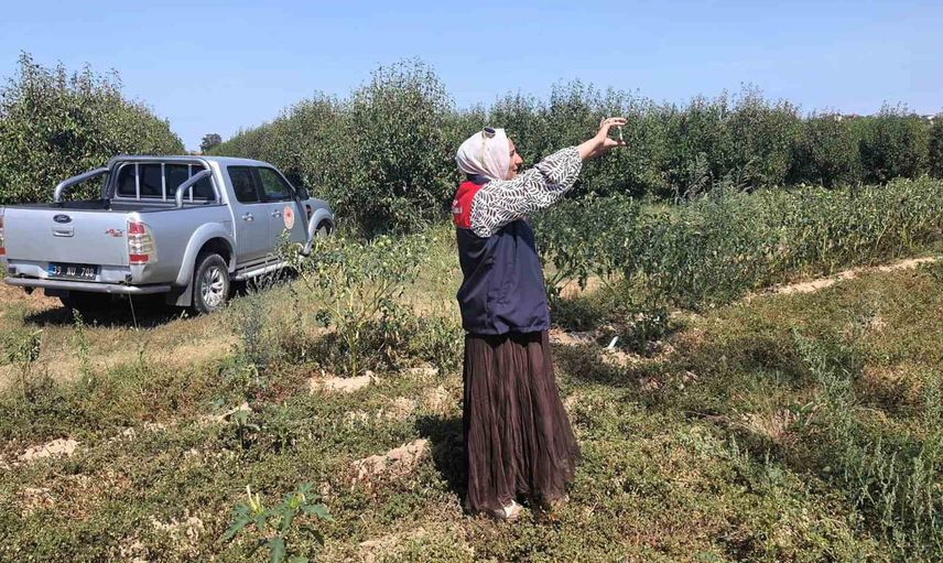Babaeski tarlalarında uydu destekli referans parsel çalışması sürüyor