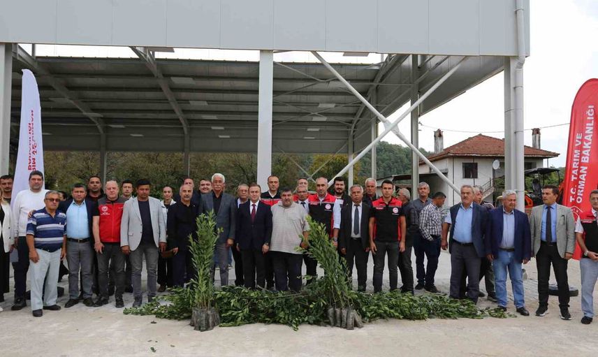 muğla’da defneye yatırım: 36 bin 601 fidan ve 75 milyon dolar ihracat hedefi