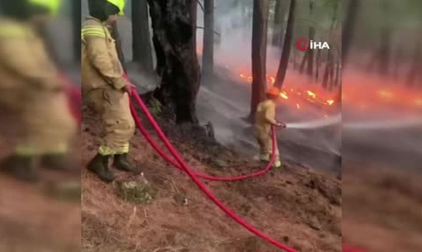 Manavgat'ta müdahale meyvesini verdi: enerji düştü
