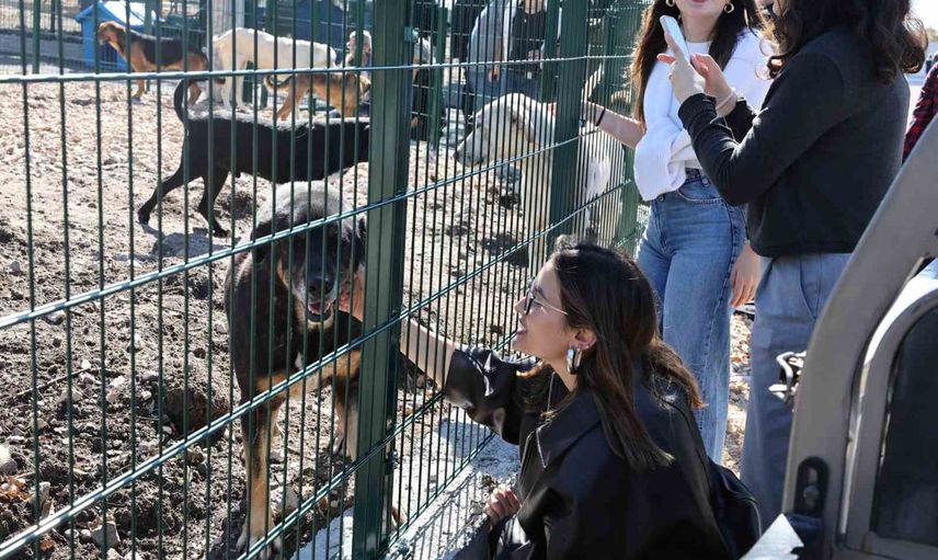 Nilüfer'de Umut Ağacı açıldı: sahipsiz hayvanlara doğal yaşam merkezi
