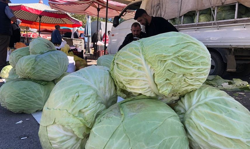 Kışın habercisi lahanalar Erzincan tezgâhlarını doldurdu