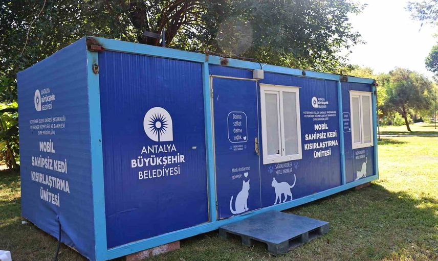 karaalioğlu Parkı'nda mobil kedi kısırlaştırma ünitesi hizmette