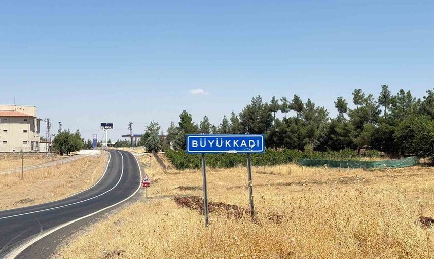 Diyarbakır'da kedi ısırığıyla başlayan hastalık entübasyona ulaştı, kuduz testi pozitif çıktı