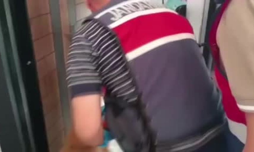 Adana'da kapalı yetiştirme düzenine darbe: 198 kenevir kökü ve 538 gram kubar ele geçti