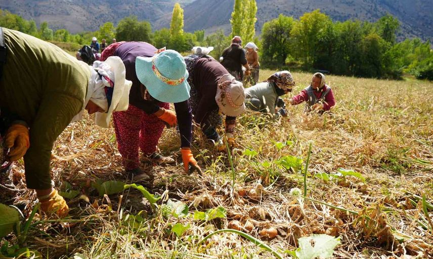 Erzincan tarımında 38 yeni proje: 169 milyon 633 bin lira hibe onayı