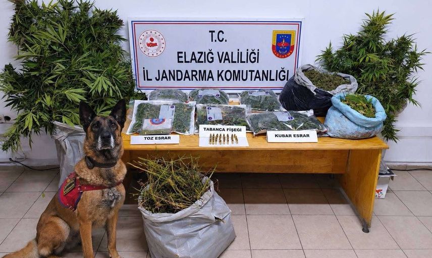 Oymaağaç'ta kenevir tarlası ve yüklü miktarda esrar ele geçirildi, 3 tutuklama