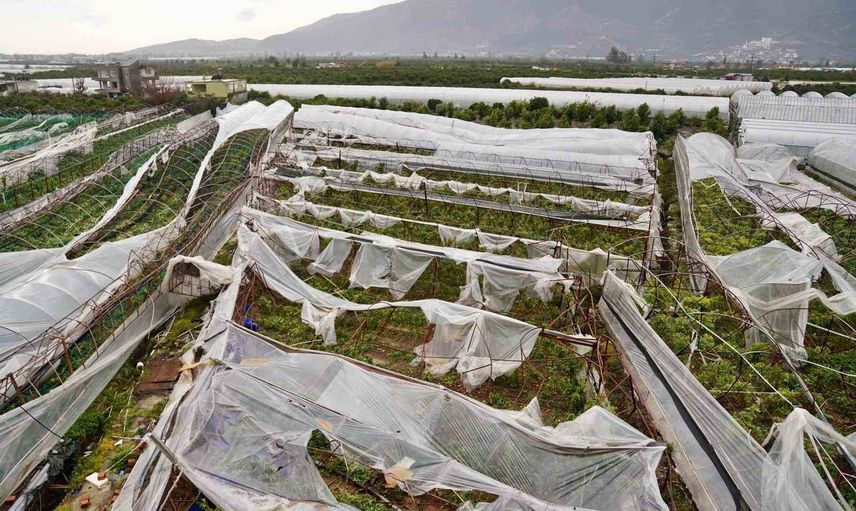 Afetin ardından üretimi ayakta tutma hamlesi: Antalya üreticilere 657 bin 400 metrekare sera naylonu sağladı