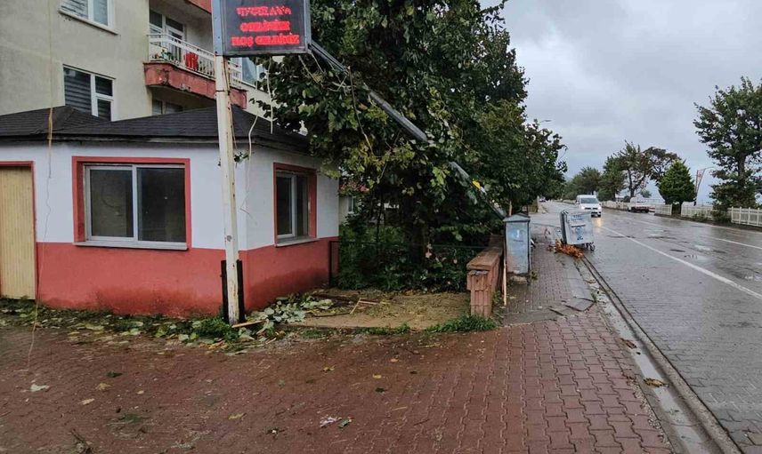 Sabah rüzgarı sahil yaşamını sarstı: Cide'de tenteler, camlar ve bir direk zarar gördü