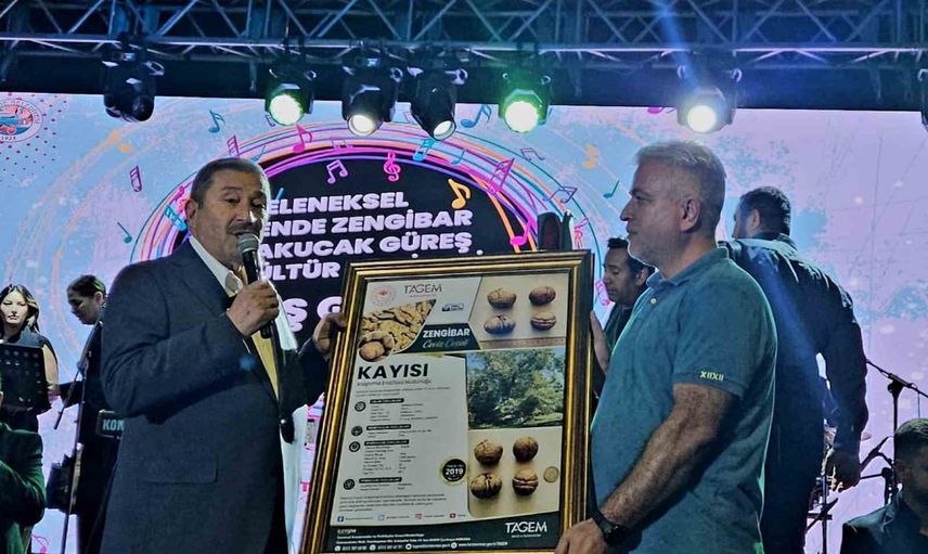 Darende'nin Zengibar cevizi dünya rakiplerini geride bırakıyor