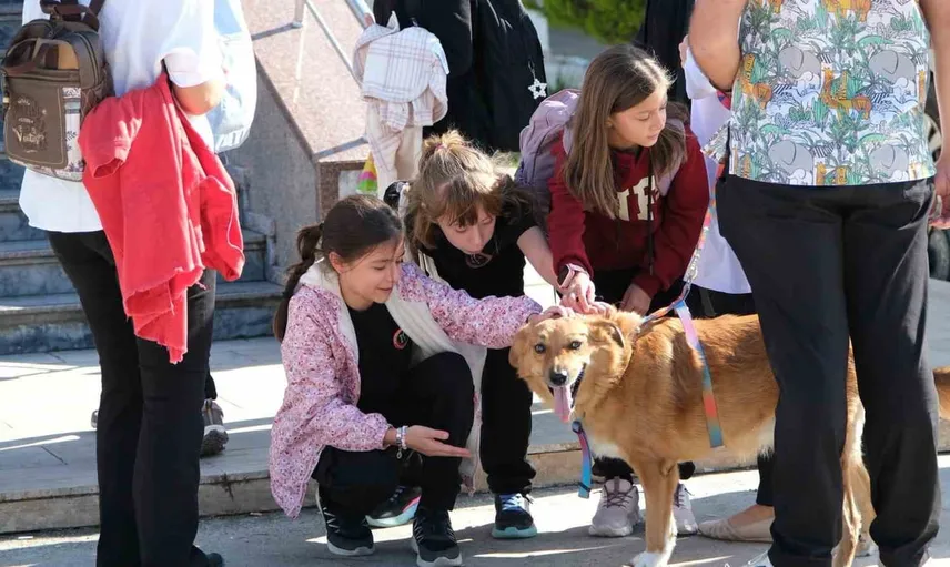 Kampüste mini vetler: küçük hayvanseverler BAÜN'de can dostlarla tanıştı