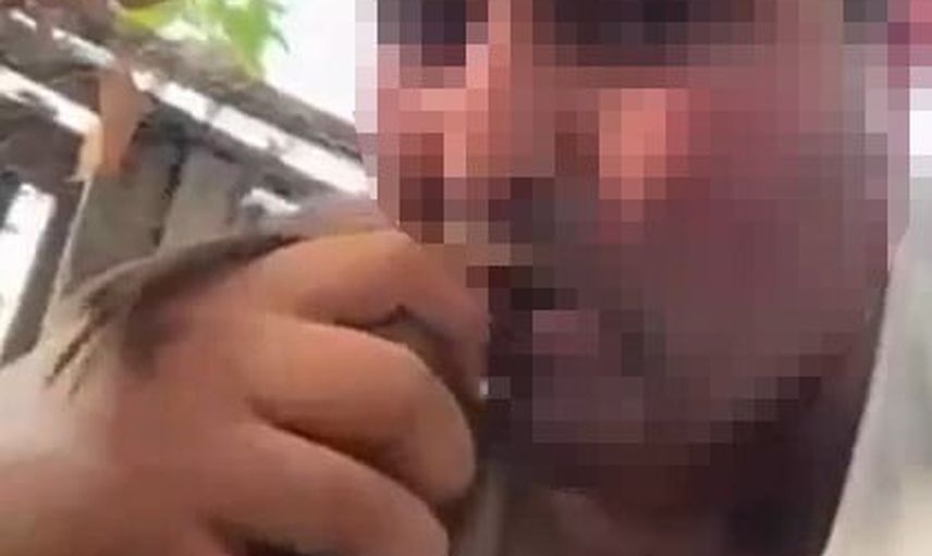 Alanya'da kuşlara yönelik vahşeti paylaşan şüpheli tutuklandı