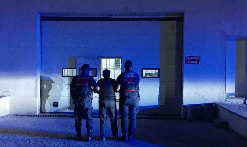 Alpu'da 'Anadolu Mirası' operasyonu: çok sayıda tarihi eser ve bir tutuklama