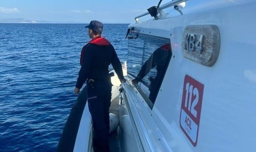 Datça sahilinde deniz kaplumbağası ısırığı iddiası, ekipler bölgeyi denetledi