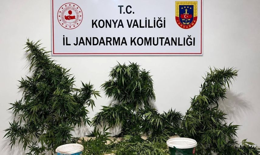 Konya'da jandarmadan çok yönlü uyuşturucu operasyonu: 6 tutuklama