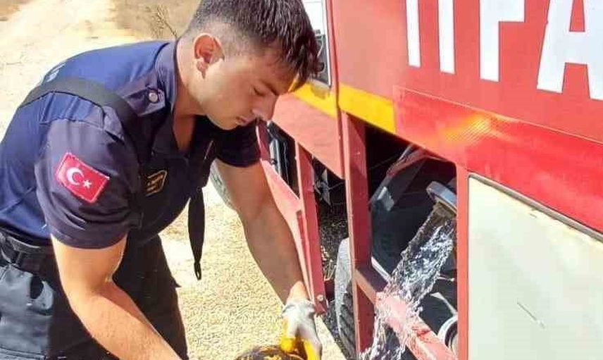 Alevlerden çıkarılan kaplumbağa itfaiyenin müdahalesiyle toparlandı