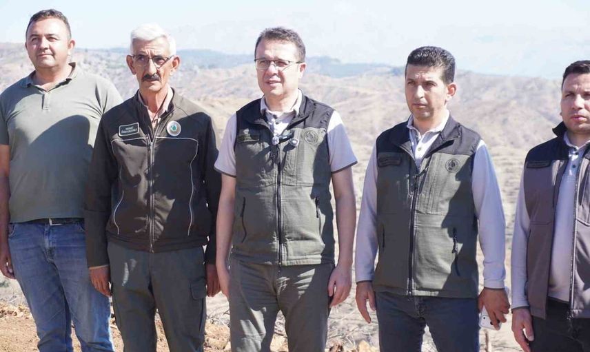 Kahramanmaraş'ta alevlerin ardından 1 milyon fidanla yeniden orman
