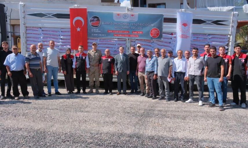 Kemaliye'de üreticilere yüzde 75 hibeli kırmızı mercimek tohumu verildi