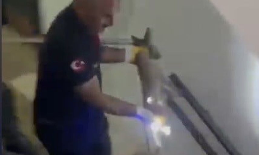 Tilki üçüncü katta mahsur kaldı; Osmaniye itfaiye ekipleri yakalayıp doğaya bıraktı