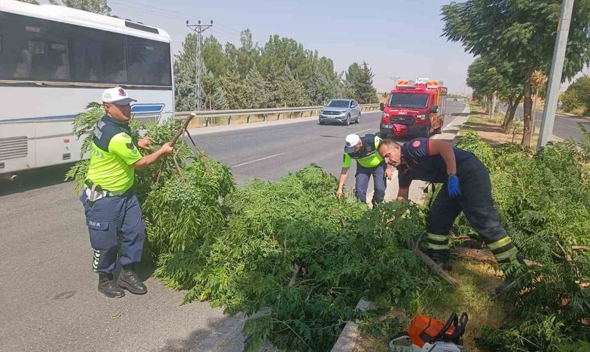 Orta refüjde devrilen ağaç Batman-Silvan karayolunu tehlikeye soktu