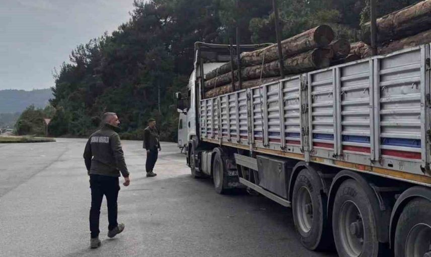 Sinop'ta orman bekçileri gece gündüz nöbette: yasa dışı müdahalelere geçit yok
