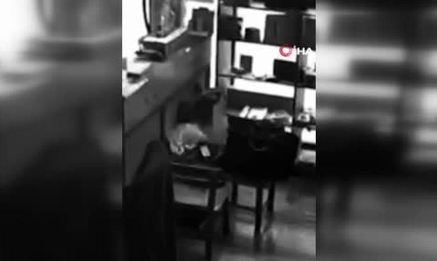 Sındırgı’da bir yıl sonra yeniden: yeni yuvaya kavuşan köyler