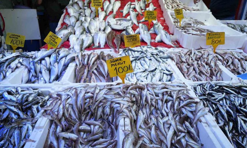 Palamut bolluğu Samsun pazarlarını hareketlendirdi