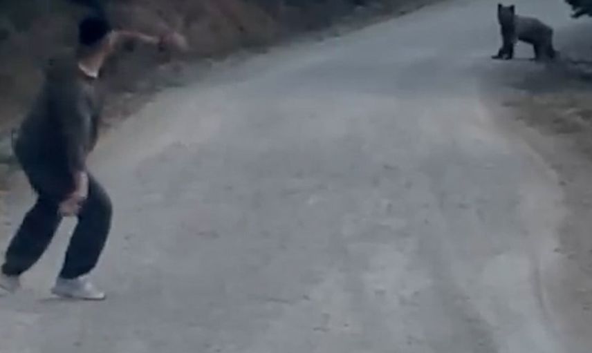 Mudurnu'da arkadaş grubunun taşıyla uzaklaştırdığı ayı kamerada