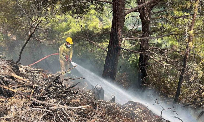 Alanya'da orman yangını ekiplerin hızlı müdahalesiyle sınırlı kaldı