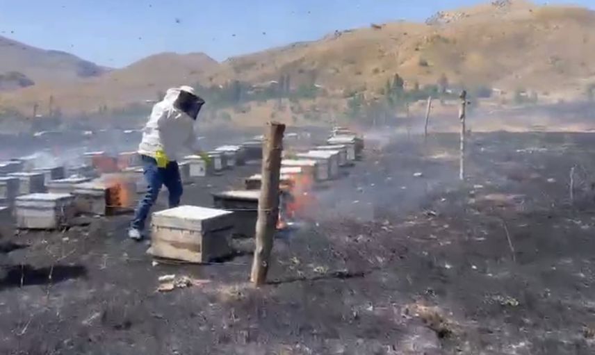 Gerger'de yayla yangını arıcılara ağır darbe vurdu: 200 kovan kül oldu