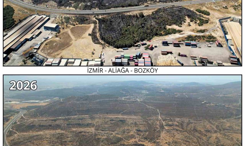 İzmir yangın sahaları 1 milyon fidanla yeniden yeşerecek