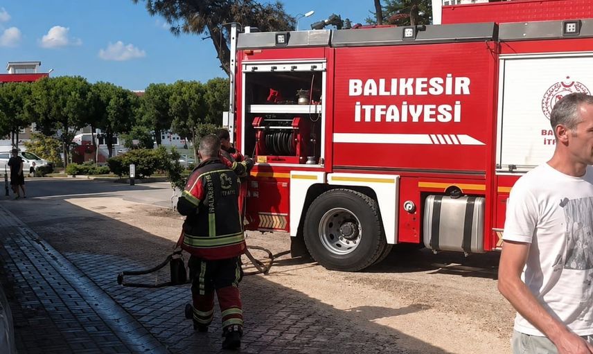 Düğün konvoyundan atılan havai fişek Cumhuriyet İlkokulu bahçesindeki çamı tutuşturdu