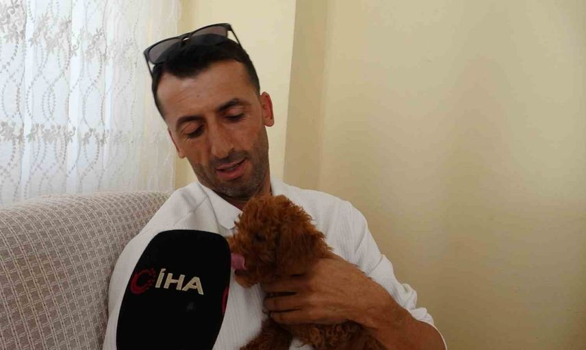 Otobüste oyuncak sanılan köpeği sahiplendi: Karamel artık onunla
