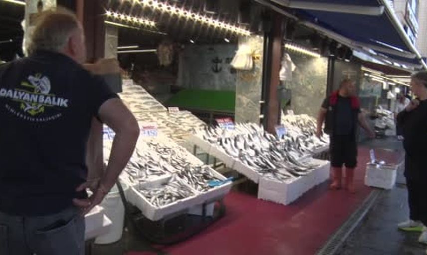 Tezgahlarda bolluk başladı: palamut, hamsi ve istavrit öne çıktı
