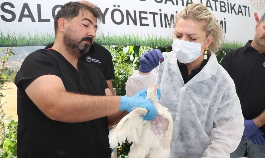 Elazığ'da tatbikatla güçlendirilen kuş gribi hazırlığı