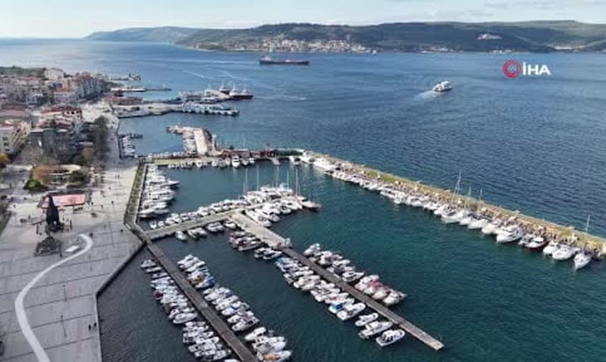 Çanakkale boğazı'nda mavi denizanası yoğunluğu: anlık rahatsızlık uyarısı