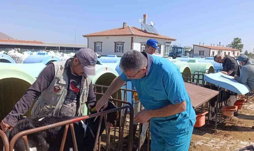 Karapınar'da tüberküloz taraması sürüyor