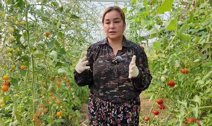 Çocukluk merakıyla serasını büyüttü: tarım için yeniden üniversiteye döndü
