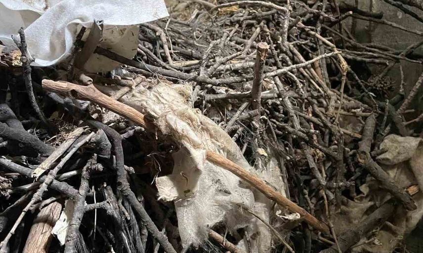 Minarelerin sessiz sakinleri: kargalar Burhaniye'de yuva kurdu