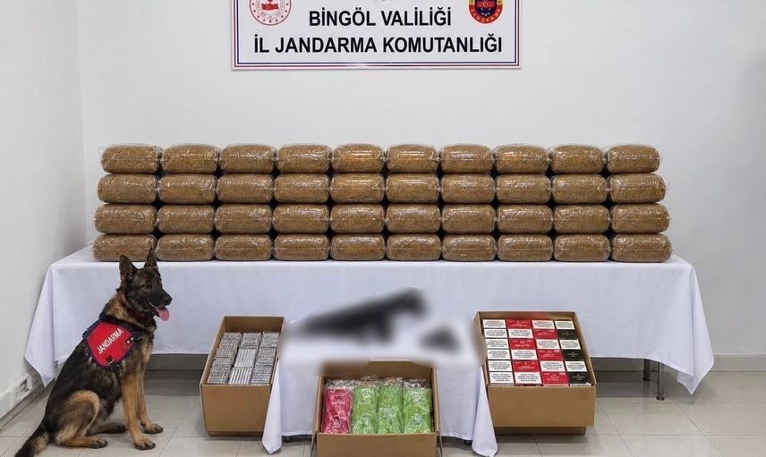 Bingöl'de çok yönlü jandarma operasyonunda aranan dört kişi tutuklandı