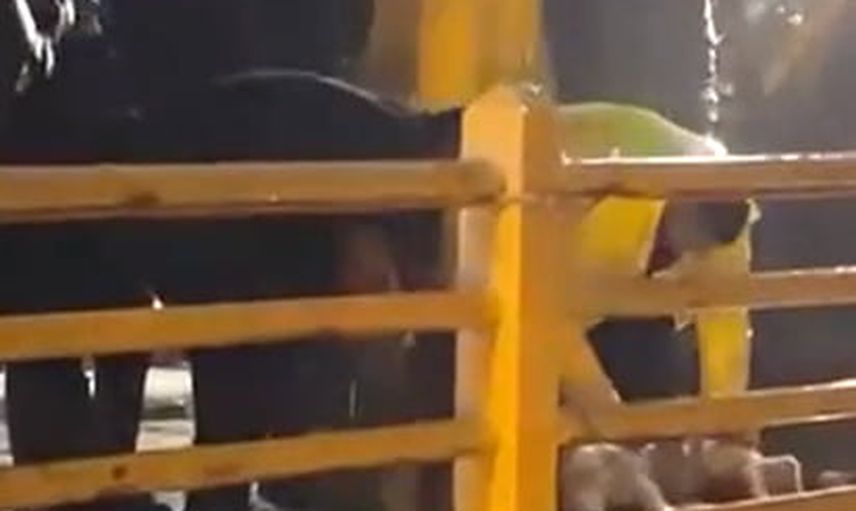 Köprüde kurban kesilerek yağmura son verilmesi istendi