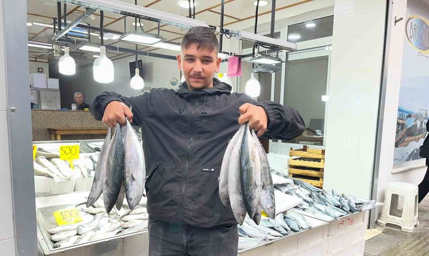 Sinop'ta tezgâhlarda palamut bolluğu fiyatları aşağı çekti