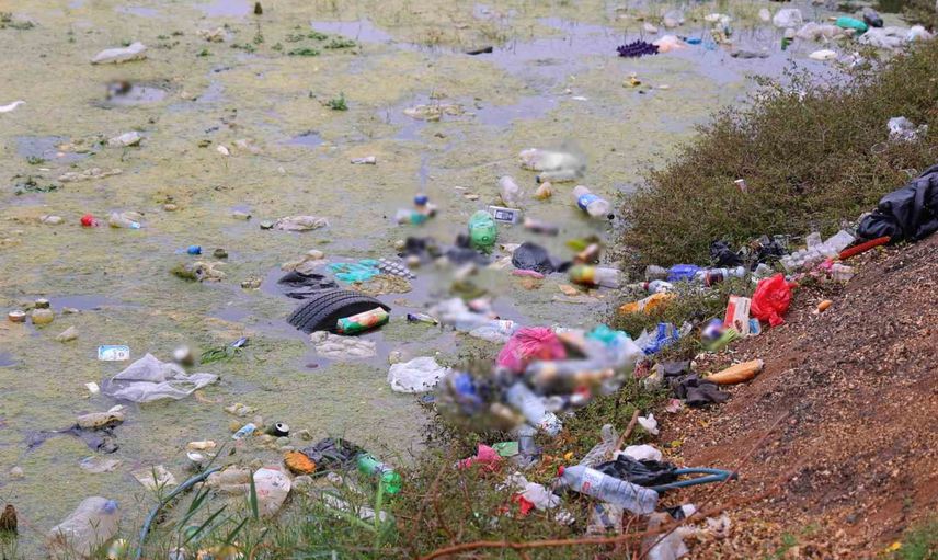 Nilüferler ve kuşlar için uyarı: Pazarcık göletleri çöplerle boğuluyor
