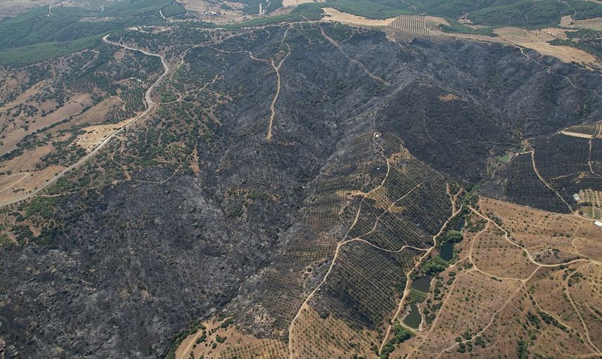 Gün ağarınca ortaya çıktı: Kula'da yangın yaklaşık bin dönüm alanı kül etti