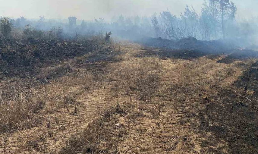 Çanakkale Biga'da Yeniçiftlik'te Tarım Arazisi Yangını: Havadan ve Karadan Müdahale