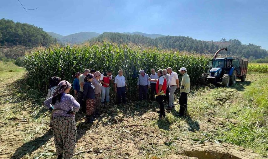Avcılar'da çiftçilere silaj üretiminde uygulamalı eğitim verildi