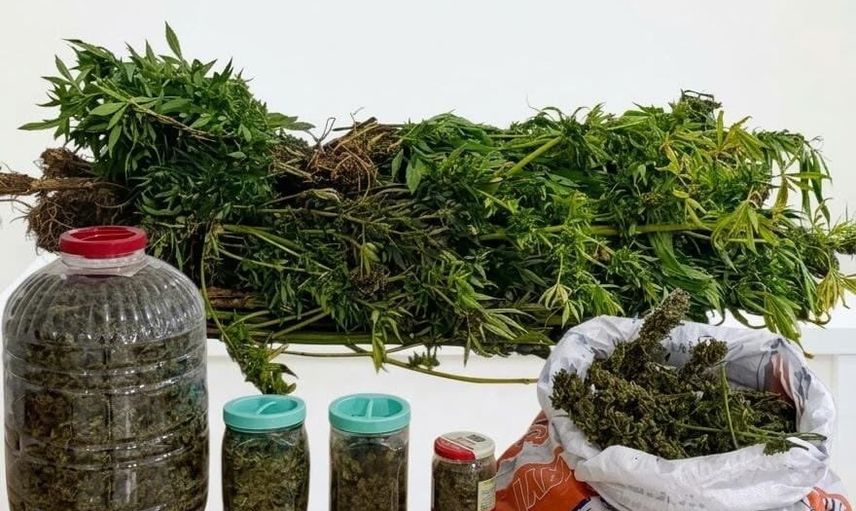 Jandarmadan Akkuş'ta ev baskını: 5 kilo esrar ve 22 kök kenevir ele geçirildi