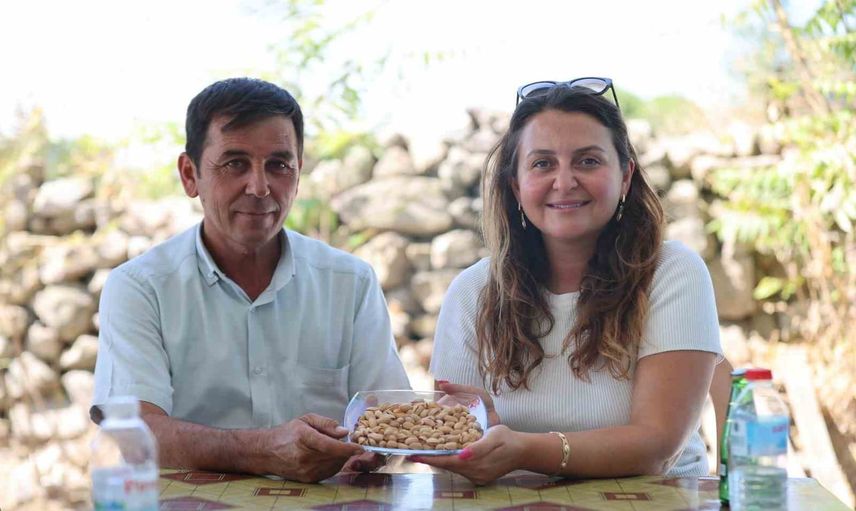 Yuntdağı'nda fıstık hasadı için son hazırlıklar tamamlanıyor